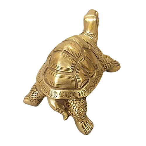 Brass Turtle