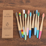 Eco-Friendly Bamboo Toothbrushes (Classic Pack of 10)